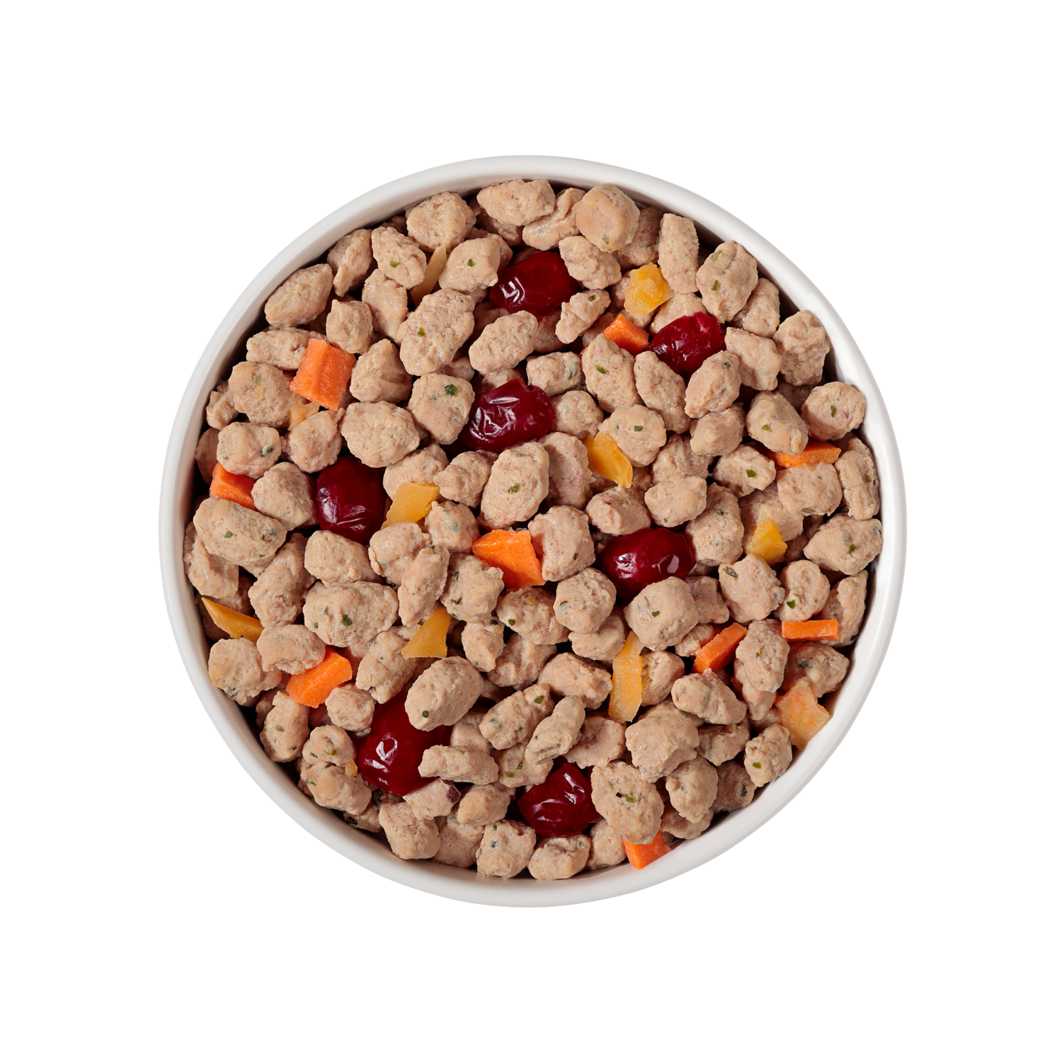 Image of a bowl containing Freshpet® Vital Chicken, Egg, Salmon & Beef Puppy Recipe With Pumpkin, Cranberries & Carrots