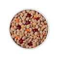 Image of a bowl containing Freshpet® Vital Chicken, Egg, Salmon & Beef Puppy Recipe With Pumpkin, Cranberries & Carrots