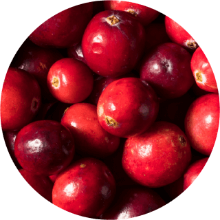 cranberries photo