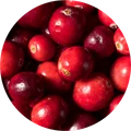 Fresh cranberries