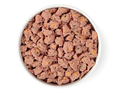 grain free chicken, beef & salmon puppy recipe
