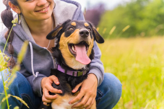 Best Dog Breed Match for New Pet Parents