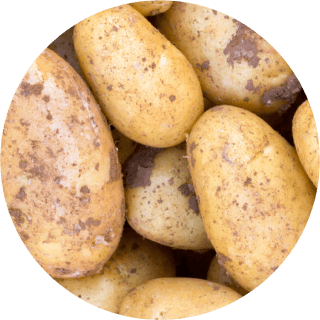 Fresh potatoes