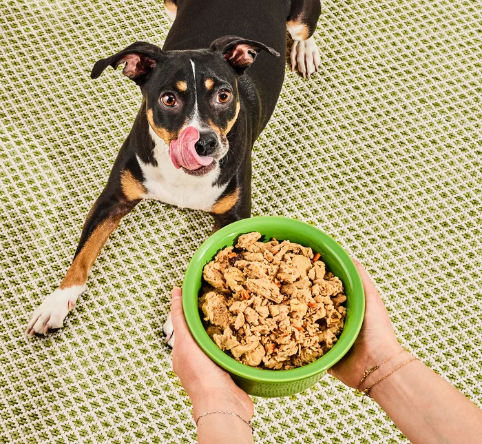 Freshpet Transforms Mealtime