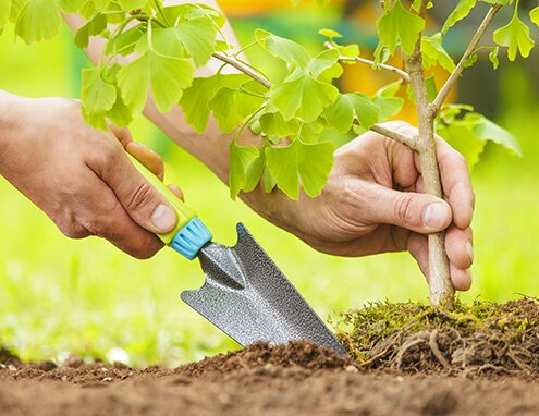 Gardening Tools