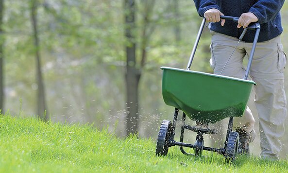 Applying fertilizer to lawn