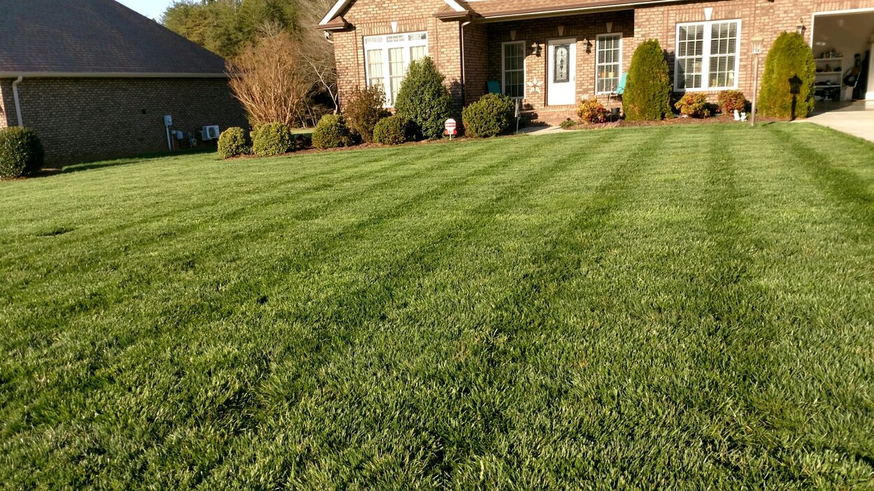 Clean Lawn