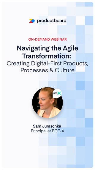 Navigating the Agile Transformation