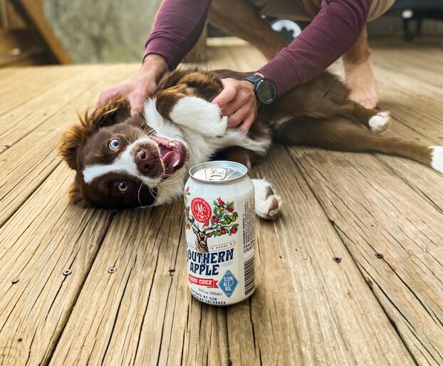 Dog being petted with Southern Apple Cider in front of them