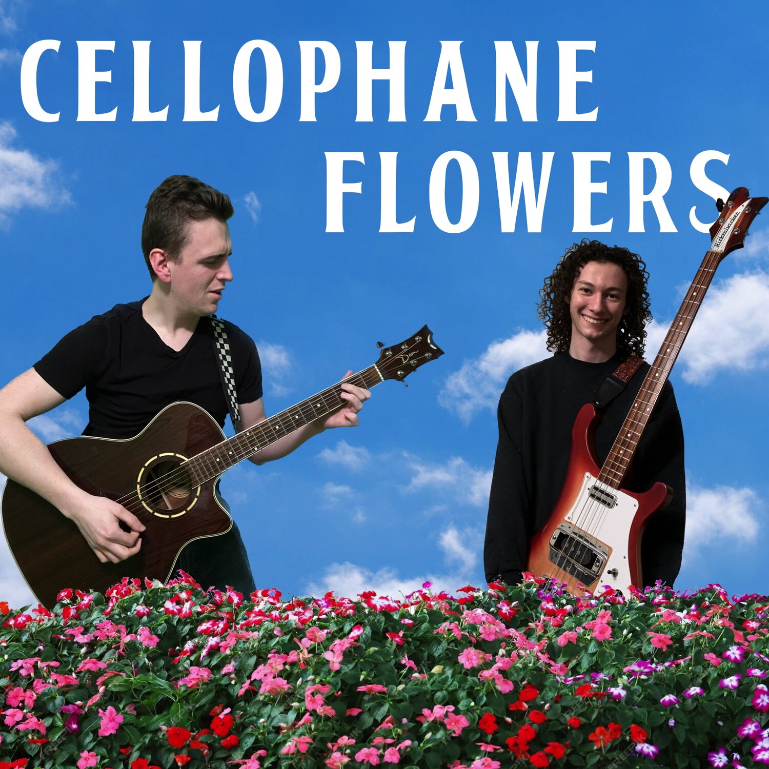 Music with Cellophane Flowers - Mills River