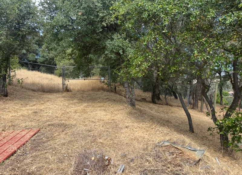 Mowed hillside property beneath mature trees and beside a fence