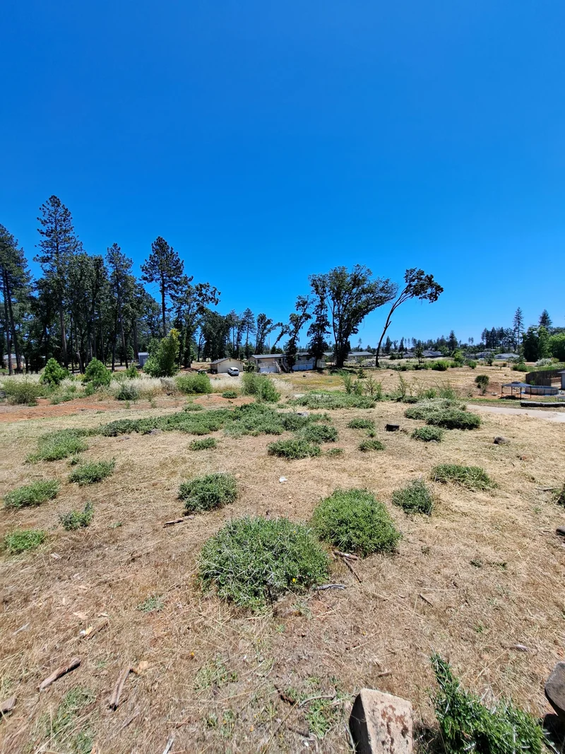 Wide view of a cleared open lot surrounded by neighboring homes and trees