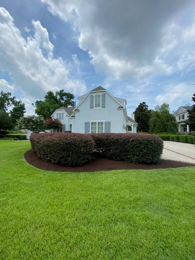 Neatly trimmed hedge bed framing a coastal home