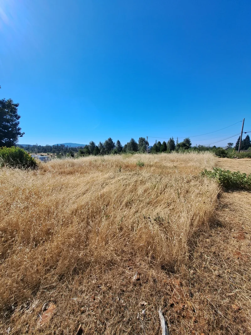 Dry grass and brush across an open property with distant hills