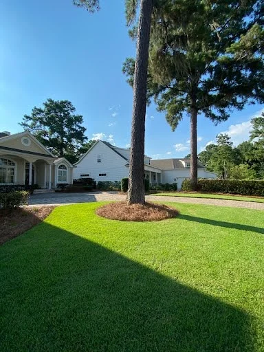 Manicured lawn and freshly maintained tree bed at a residential property