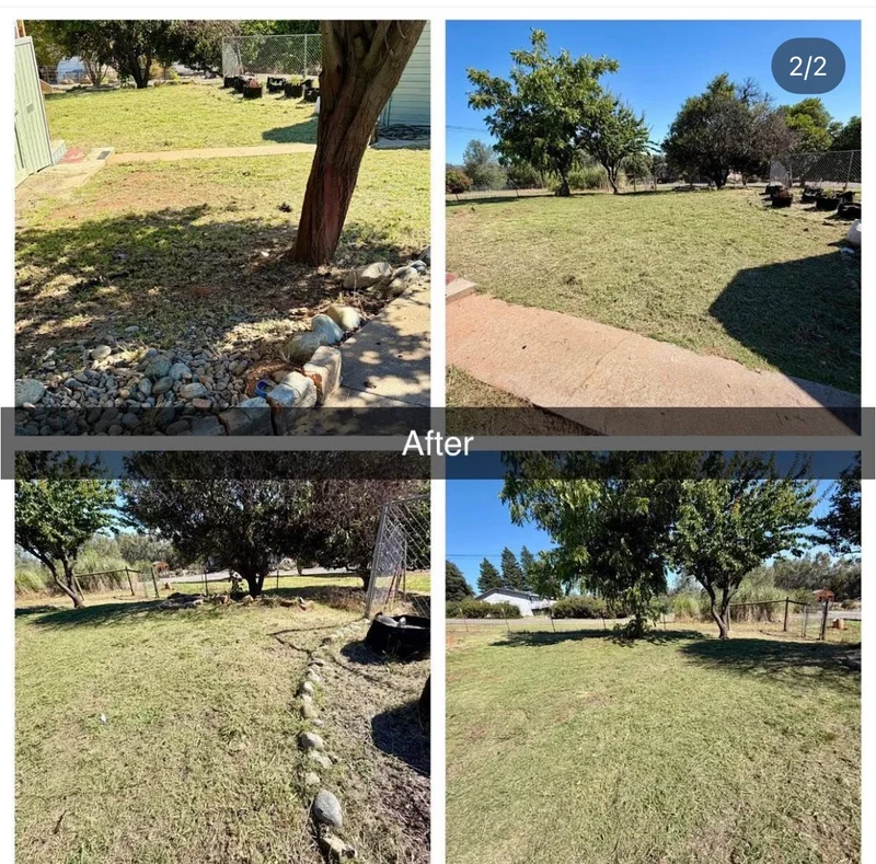 Before-and-after collage showing a freshly mowed residential yard after cleanup
