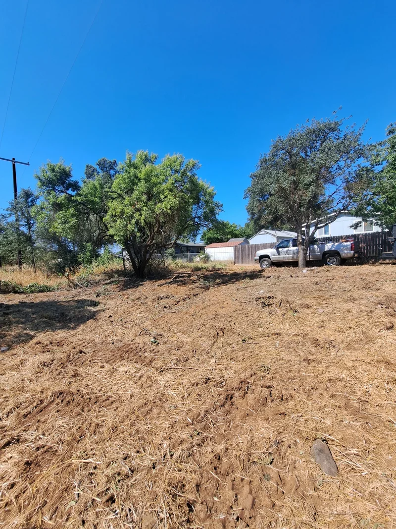 Cleared residential lot with trees and a pickup truck at the property edge