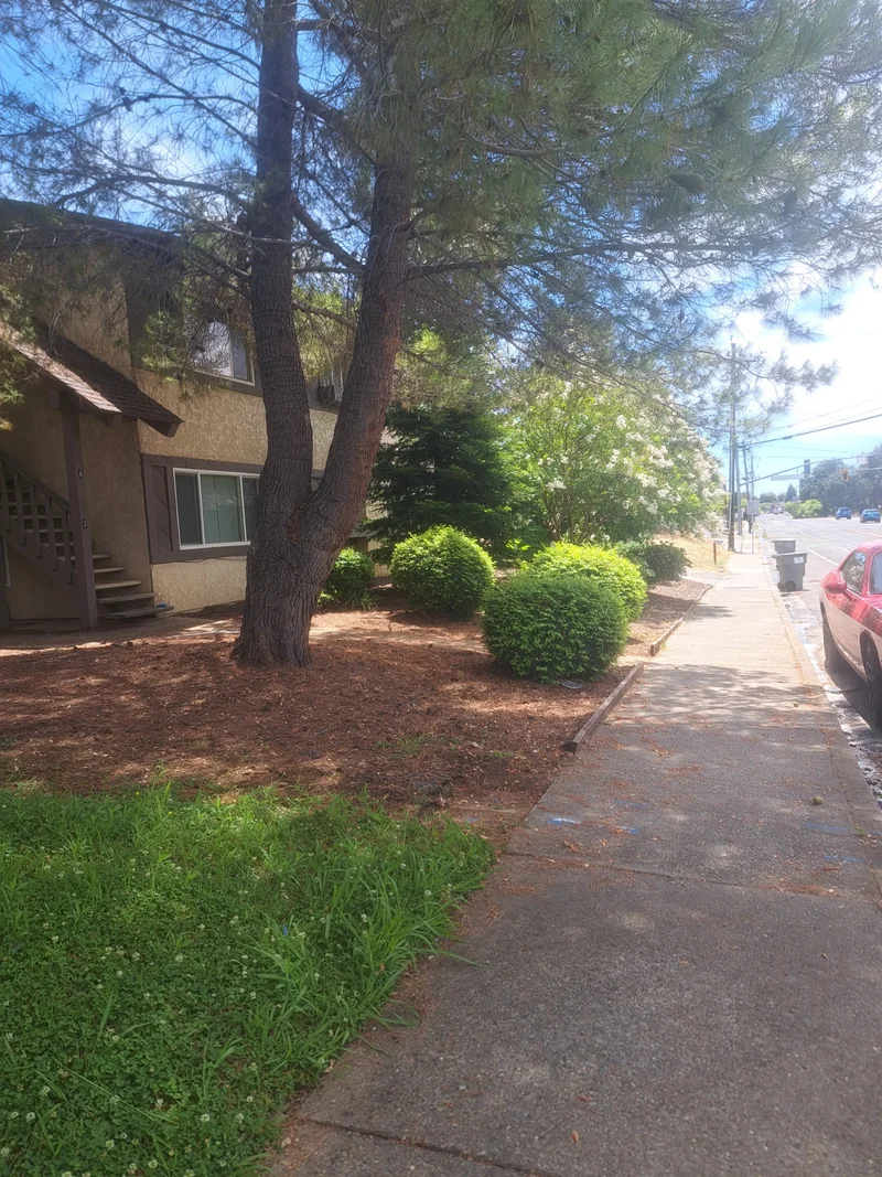 Maintained landscaping beside a residential building and sidewalk