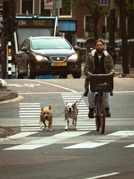 Fietser met twee honden aan de lijn in Amsterdam als voorbeeld van micromobiliteit in de stad