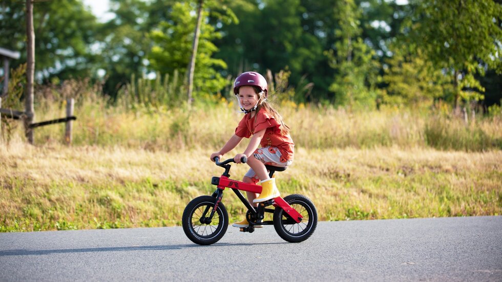 Vici Bike