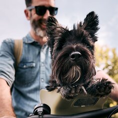 Kinekt ook geschikt voor bakfietsen