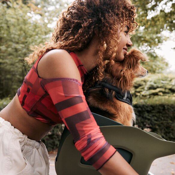 Zadelpennen van Kinekt