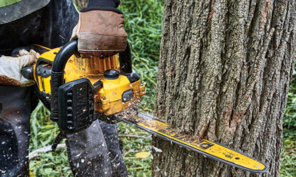 Dewalt Chain Saw