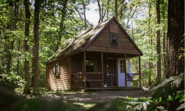 Cabin in Woods