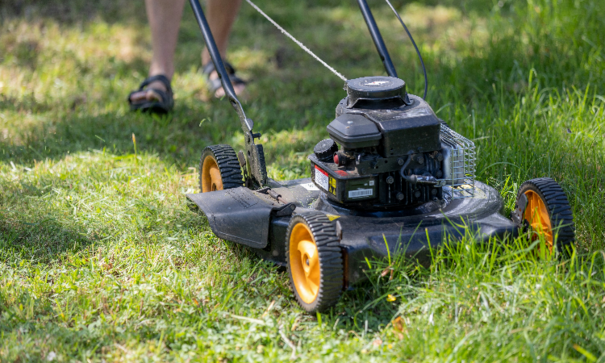 Lawnmower