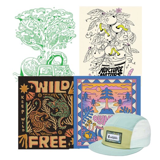 Clean and Corporate Green Bay Packaging Design