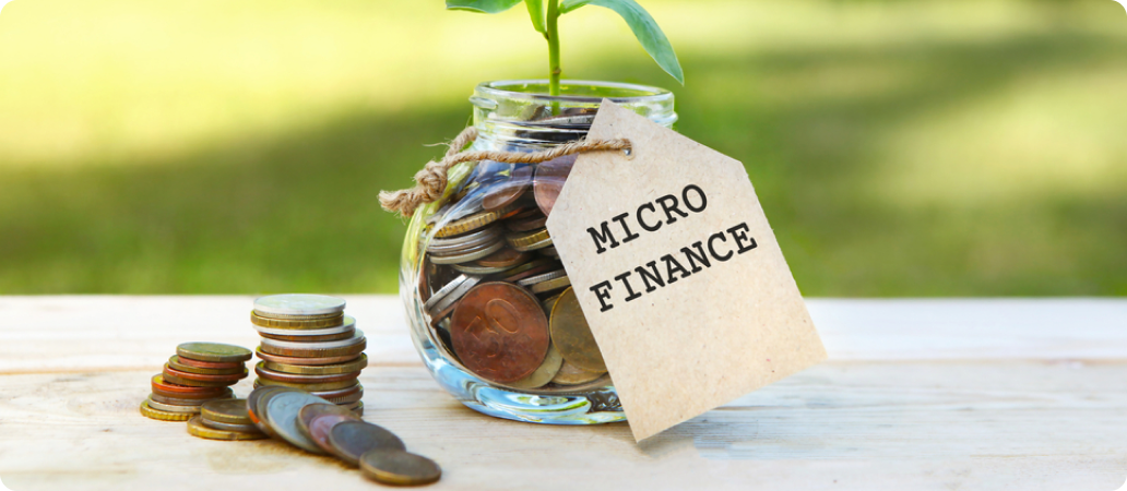 What is the JLG model for micro finance in India? 