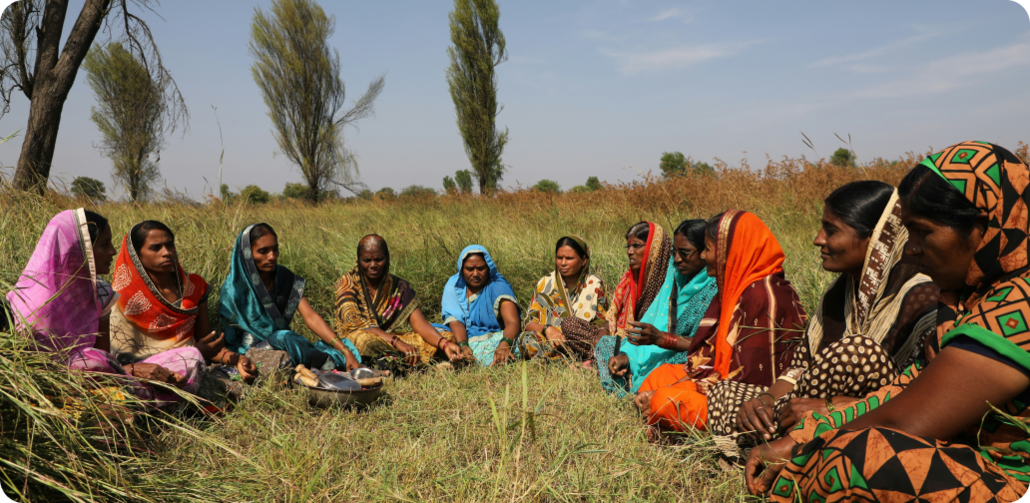 Small And Medium Businesses Women in Field