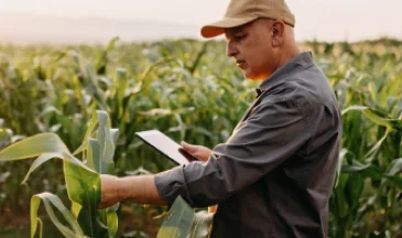 How Nel & Vennote Are Helping Farming Clients Tackle Connectivity