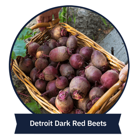 Detroit Dark Red Beets