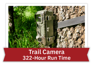 Trail Camera - 322-Hour Run Time