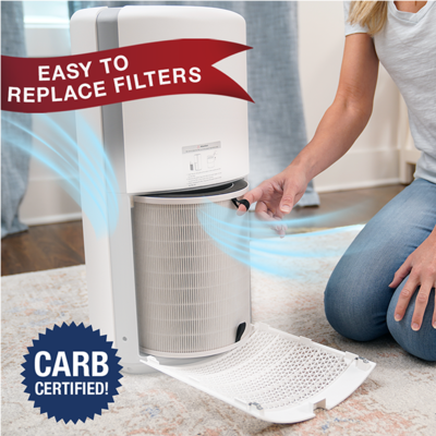 Easy to replace filters, carb certified 