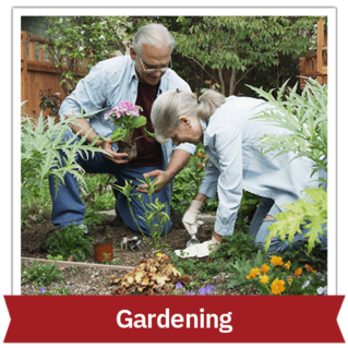 Older man and woman gardening outside