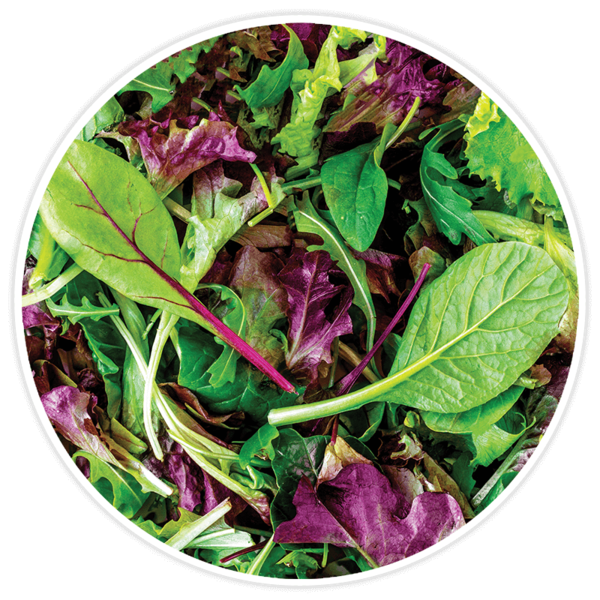 Lettuce, Mixed Greens - Mesclun Mix