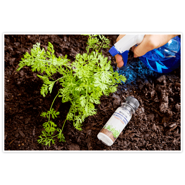 Hand spraying water on plants next to 4Patriots Bountiful Green Plant Food