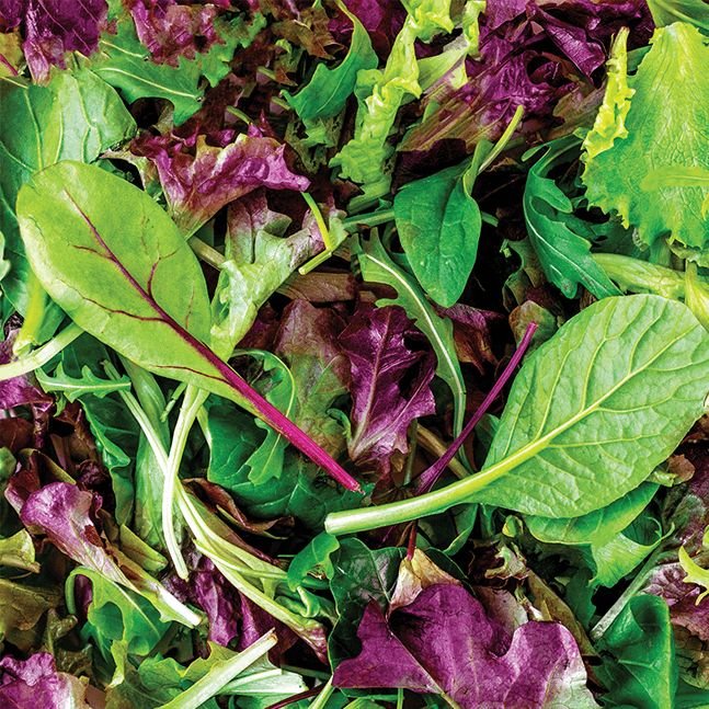 Lettuce, Mixed Greens - Mesclun Mix