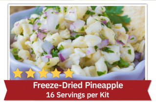 Freeze-Dried Pineapple - 16 Servings