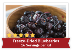 Freeze-Dried Blueberries