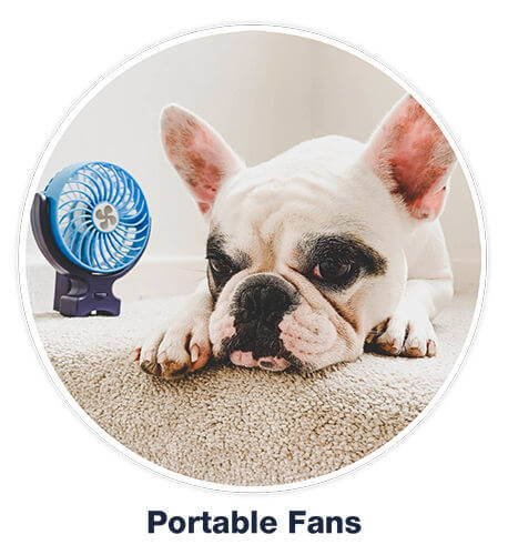 Portable fan next to a dog