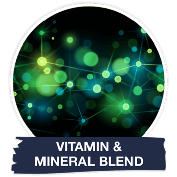 Vitamin & Mineral Blend graphic