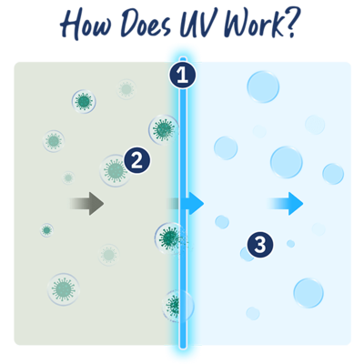 How does UV work diagram. The Secret to UV-Light Sterilization.