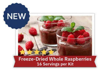 Freeze-Dried Strawberries - 16 Servings per kit