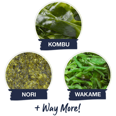 3 images of Kombu, Nori, and Wakame