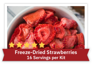 Freeze-Dried Blueberries - 8 Servings per kit