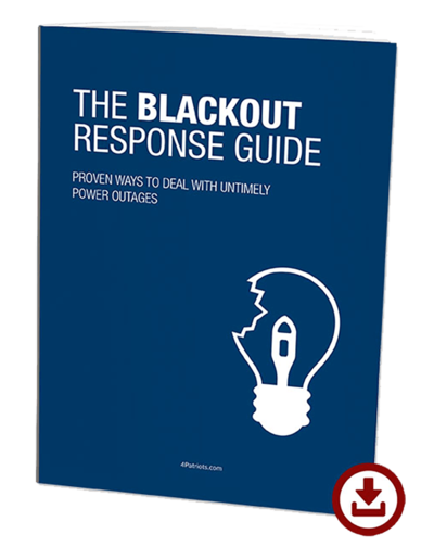 4Patriots USB-Rechargeable AA Battery Kit includes free bonus gift: the blackout response guide digital report