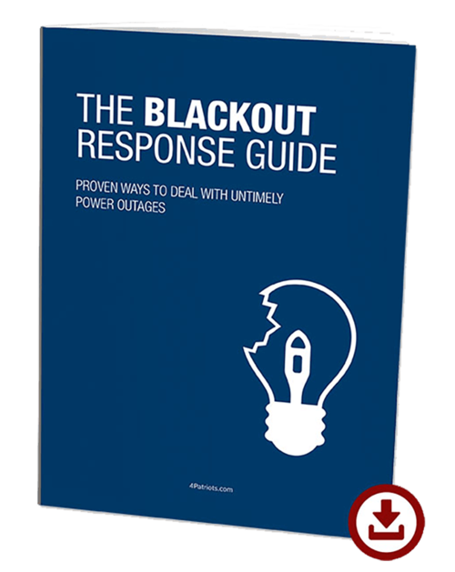 4Patriots USB-Rechargeable AAA Battery Kit includes free bonus gift: the blackout response digital guide
